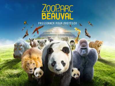 Adobe Express - file